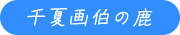 ĉ攌̎