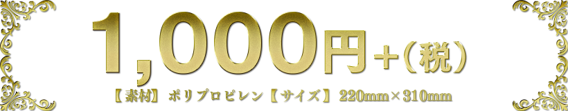 1,000円＋（税）