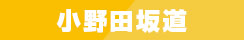 小野田坂道