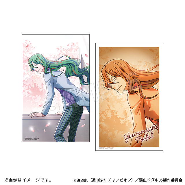 弱虫ペダル LIMIT BREAK】＜桜風ーサクラカゼー＞ グッズ販売